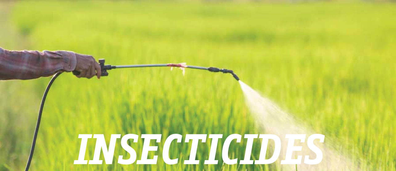 insecticides